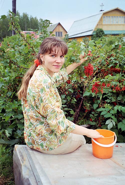 ���� �������� ������� � ������